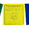 Tibetské modlitebné zástavky Budha liečiteľ 10 ks