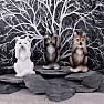 Sada sošiek troch Múdrych vlkov