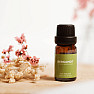 By Nefertitis Bergamot 100% esenciálny olej