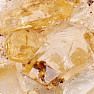 Borovica sibírska - fosílne živice