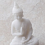 Buddha s vázou Amrita