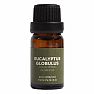 By Nefertitis Eucalyptus globulus 100% esenciálny olej 10 ml