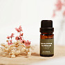 By Nefertitis Eucalyptus globulus 100% esenciálny olej 10 ml