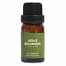 By Nefertitis Jedľa bielokorá 100% esenciálny olej 10 ml