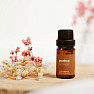 By Nefertitis Škorica 100% esenciálny olej 10 ml